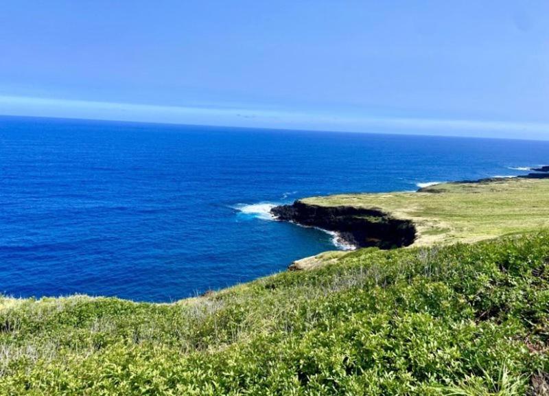 Charming 1 Bedroom Beach Condo Prime Location Great Value Pahala エクステリア 写真