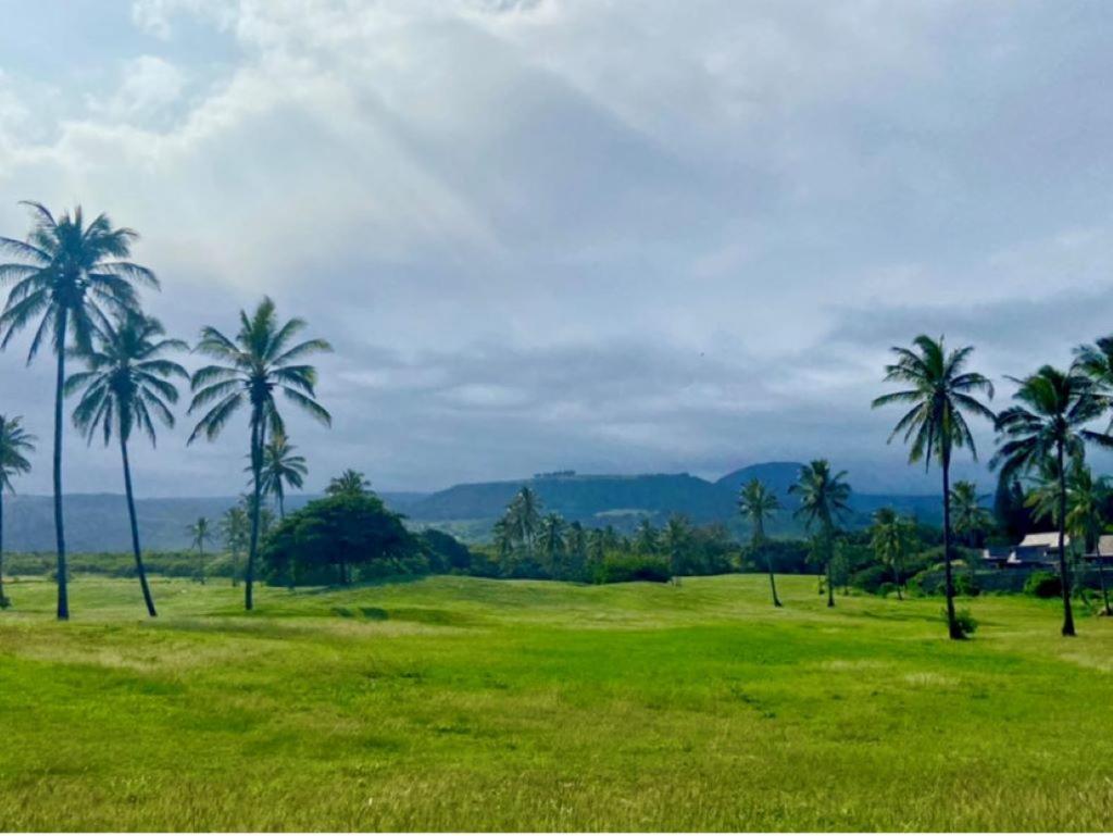 Charming 1 Bedroom Beach Condo Prime Location Great Value Pahala エクステリア 写真