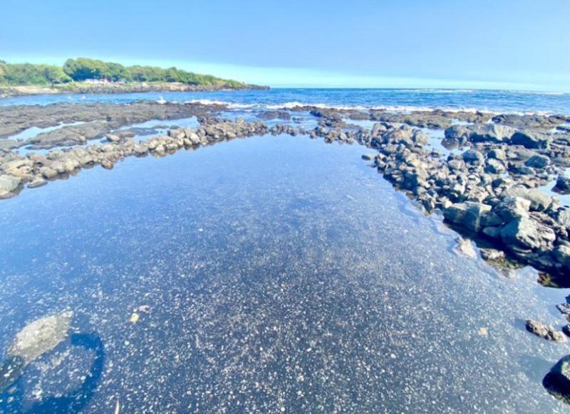 Charming 1 Bedroom Beach Condo Prime Location Great Value Pahala エクステリア 写真