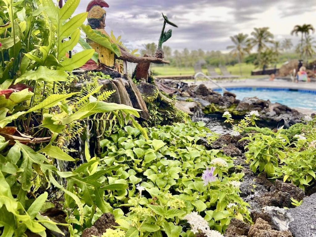 Charming 1 Bedroom Beach Condo Prime Location Great Value Pahala エクステリア 写真