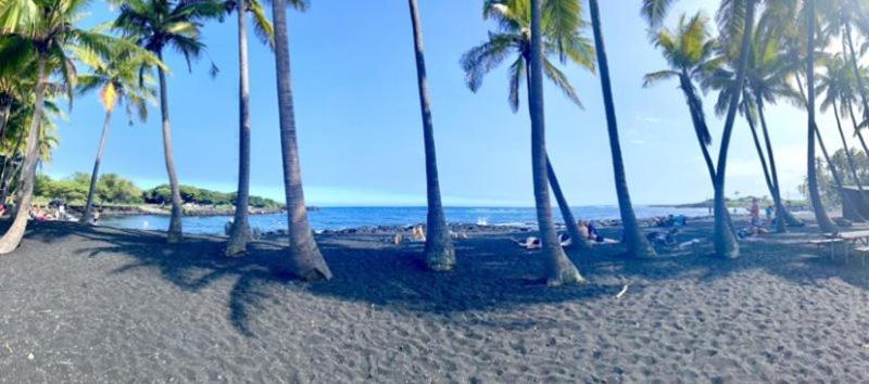 Charming 1 Bedroom Beach Condo Prime Location Great Value Pahala エクステリア 写真