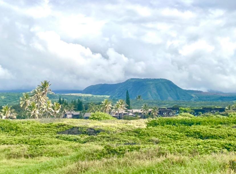 Charming 1 Bedroom Beach Condo Prime Location Great Value Pahala エクステリア 写真
